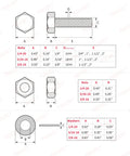 Bolts and nuts assortment kit, 176pcs, 304 stainless steel; includes 1/4-20, 5/16-18, 3/8-16 with washers shown