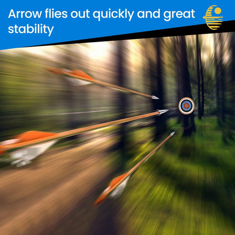 Arrows flying towards target using 12 Pack Archery Field Points 19 64th Inch, 1.77 Inch Length, 8 32 Screw In tips in forest setting.