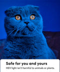 Blue-lit cat signifying Smart LED Light Bulb 2 Pack With Wi Fi Full Color RGBW 1100 Lumens Antibacterial HEV Mode Dimmable