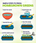 Six steps to homegrown greens using Ceramic Microgreens Growing Kit For Kitchen Garden With 3 Crop Seed Mix, visual guide