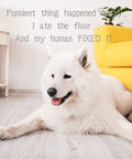 White fluffy dog resting on wooden floor beside a yellow couch with text about chewing the floor.