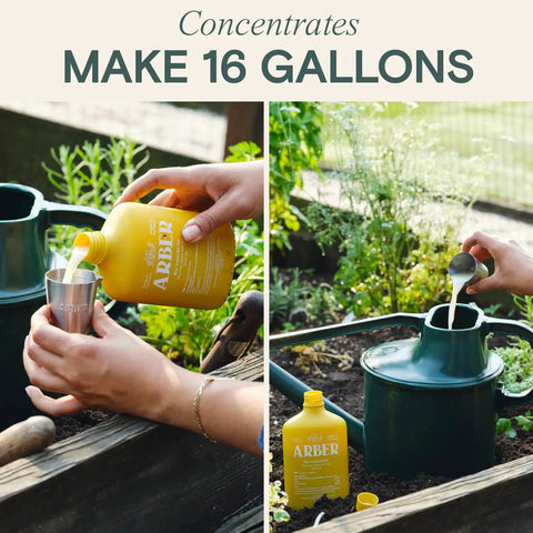 Person pouring All Natural Insect And Fungicide For Plants Indoor And Outdoor Protection Against Powdery Mildew Spider Mites Aphids Whiteflies And Fungus Gnats Safe For Vegetables And Lawns Concentrate Spray 16 Oz into a measuring cup next to a garden