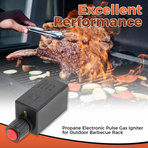 Propane electronic pulse gas igniter and steak on outdoor barbecue grill with flames