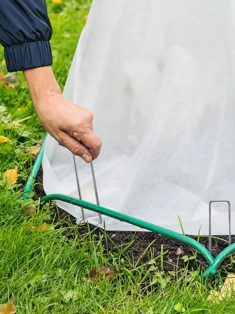 100 Pack Landscape Staples 6 Inch 11 Gauge Beefy Heavy Duty Hot Dip Galvanized Steel Garden Stakes securing a tarp on grass