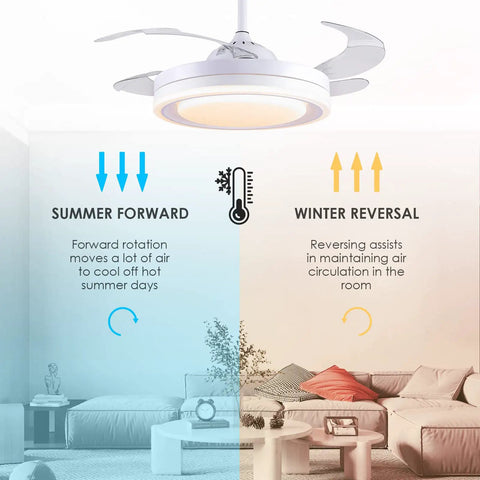 Modern 42-Inch Retractable Ceiling Fan With LED Lights And App Control in a living room, showing summer and winter modes.
