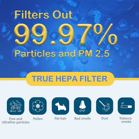 Infographic highlighting the Two Pack True HEPA Replacement Filters for BreatheSmart capturing 99.97% of particles, PM 2.5.
