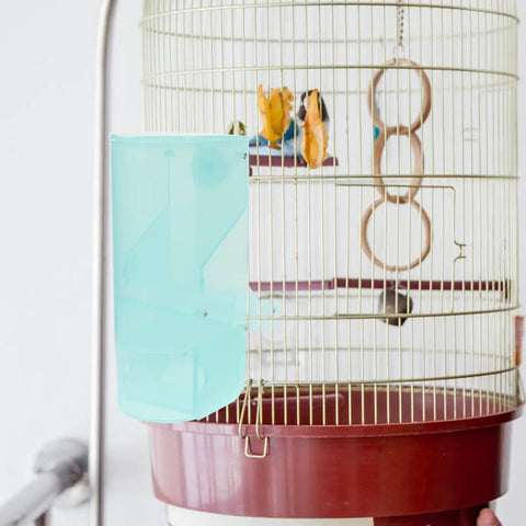 No Fuss Splash Proof Bird Feeder Cage Mount With Secure Buckle Clip And Hanging Rod For Parrots And Finches Easy Breezy Setup Green Seed Bowl on aviary bars.