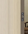 Close-up of hidden stainless steel door ball catch kit with strike plates on a wooden door, showing adjustable latch and invisible mount.