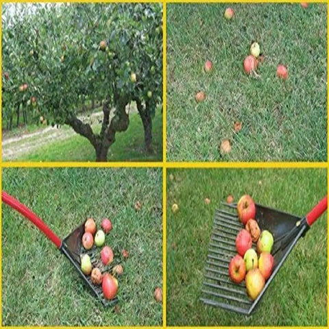 Heavy Duty Garden Rake That Slays Leaves And Debris With Ease Sturdy Tines scooping apples on grass.