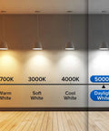 Comparison of light temperatures: warm, soft, cool, and 5000K daylight white, showcasing 60W Equivalent LED Light Bulbs Save Big On Power.
