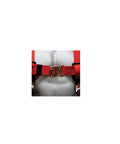 Premium EagleLite Harness With Tongue Buckles And 3 D Rings For Fall Safety Heavy Duty Polyester Nylon Construction All Day Comfort