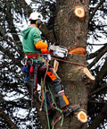Tree worker using Tree Climbing Spikes Pro Gear For Tree Work Adjustable Climbing Spurs For Safe Efficient Pruning Heavy Duty Kit