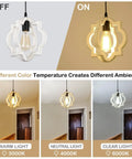 Farmhouse Chandelier Pendant Light With Distressed White Wood And Black Accent showcasing light color temperature effects.