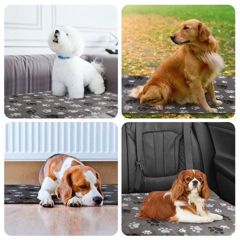 Waterproof Pet Blanket For Dogs And Cats With Pattern Print, Cozy Ultra Soft Sherpa, dogs on blanket in car and home, 40x30 Inch.