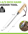 Two Pronged Dandelion Weeder Puller Tool With Wood Handle Stainless Steel Garden Weed Remover, dimensions shown, used in soil.