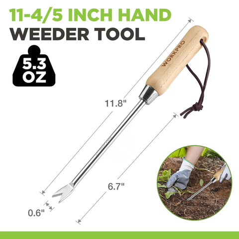 Two Pronged Dandelion Weeder Puller Tool With Wood Handle Stainless Steel Garden Weed Remover, dimensions shown, used in soil.