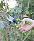 Person using 8 inch pruner from Limb And Branch Pruner Tool Set With Heat Treated Steel 15 Inch Lopper And 8 Inch Pruner on branch