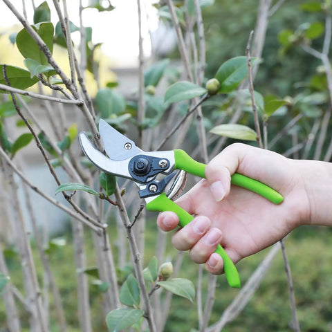 Person using 8 inch pruner from Limb And Branch Pruner Tool Set With Heat Treated Steel 15 Inch Lopper And 8 Inch Pruner on branch