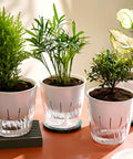 Self Watering Hydroponic Plant Pot With Visual Water Level and Perforated Design, Lightweight Durable PP PET Planter For Herbs And Veggies, Perfect For Aquaponics Growing System And Indoor Gardens, white pot with herbs
