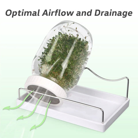 All In One Sprouting Jar Kit With Two Wide Mouth Mason Jars 316 Screen Sprout Lids Blackout Sleeves Tray And Stand For Growing Broccoli And Alfalfa At Home Seeds Not Included on stand with airflow