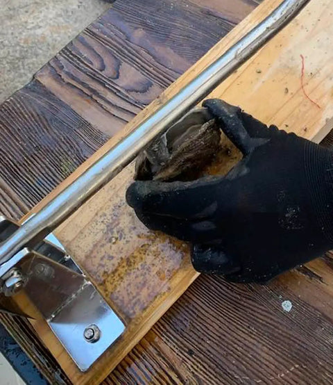 Premium Stainless Steel Oyster Opener with Knife on Wooden Base in use, showing black-gloved hand shucking an oyster.