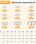 Massive 1000 Pieces Spring Lock Washers Set In 304 Stainless Steel Nine SAE Sizes From M2 To M12 Split Lock Washers For Screws And Bolts Corrosion Resistant DIY Auto Marine Hardware Kit, size chart view