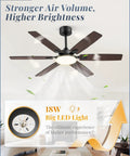 52 Inch Indoor Outdoor Ceiling Fan With Lights, Modern Reversible Blades, Quiet DC Motor, Dual Finish Blades, 18W LED