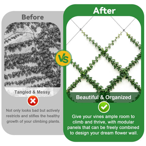 Comparison of before and after using Heavy Duty No Drilling Cable Cross Clamps for organized climbing plants