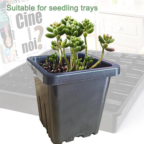 Black pot from Two Inch Square Seedling Pots Pack Of 50 Dual Color Clear And Black With Drainage Holes For Seed Germination Root View.