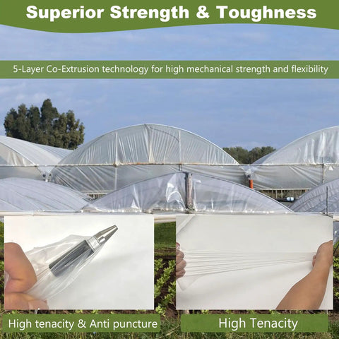 Clear 6 Mil Greenhouse Plastic Sheeting For 16 X 20 Ft, UV Resistant Heavy Duty Polyethylene Film, Thickened, Tear Resistant Greenhouse Cover, Weatherproof Transparent Film For Year Round Garden Growth That Stays Tough As Nails