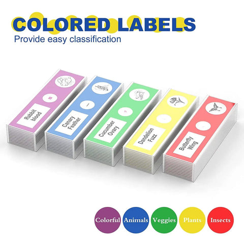 60 Piece Prepared Microscope Slides Set For Stereo Microscope With Plant Insect And Animal Tissue Specimens Great For Hands On Learning Classroom Ready And Home Science Experiments Student Friendly. Colored labeled microscope slide set with five specimen boxes