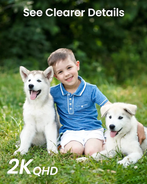 Child in blue shirt sitting on grass with two dogs, highlighting 2K QHD image clarity.