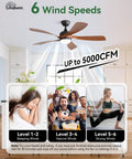 52 Inch Smart Ceiling Fan With Lights And Remote For Indoor And Outdoor Use, Alexa And Google Assistant Compatible, Six Speed options
