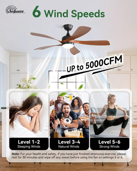 52 Inch Smart Ceiling Fan With Lights And Remote For Indoor And Outdoor Use, Alexa And Google Assistant Compatible, Six Speed options