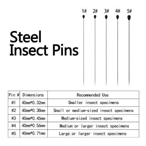 Stainless Steel Insect Pins Kit Bulk 500 Piece Five Size Set For Entomology Displays And School Projects Durable Reusable Specimen Pins