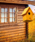Birdhouse hanging on wooden cabin using Heavy Duty 2.6 Inch Stainless Steel Screw Eyes Eye Bolts Self Tapping For Wood Indoor Outdoor Use 1 Inch Ring Rustproof 304 Grade 40 Pack Built To Last For Hanging Plants Tools Cords Tarps And Outdoor Projects.