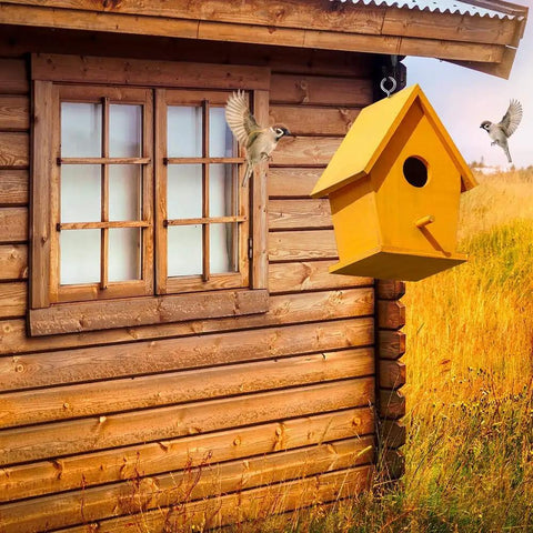 Birdhouse hanging on wooden cabin using Heavy Duty 2.6 Inch Stainless Steel Screw Eyes Eye Bolts Self Tapping For Wood Indoor Outdoor Use 1 Inch Ring Rustproof 304 Grade 40 Pack Built To Last For Hanging Plants Tools Cords Tarps And Outdoor Projects.