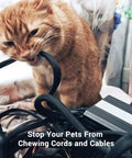 Cat biting 25 Foot One Quarter Inch Cable Management Sleeve Protector Expandable Braided PET Wire Loom preventing damage.