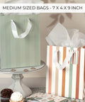 Grab And Go Medium Sized Gift Bag Set With Handles, 9 Inch, in pastel tones, includes matching tissue paper, shown with envelopes.