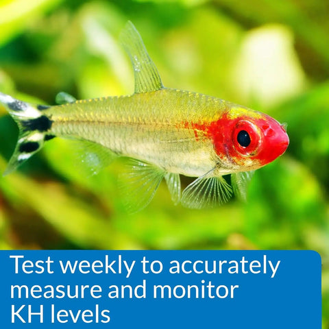 Slick Freshwater And Saltwater Aquarium Carbonate Hardness Test Kit Using Liquid Reagents To Dodge PH Swings And Watch Over Tank Crew Arrives With Crisp Color Charts Durable Glass Vials Zero Drama Manual And Double Packs For Smooth Water Testing Everyday with colorful fish in an aquatic environment.