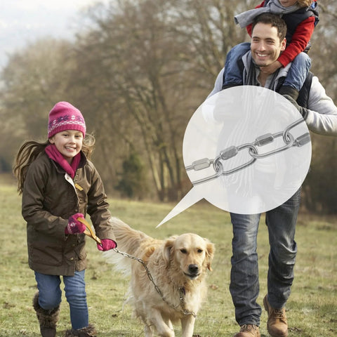 Family walking a dog with a leash secured by a 304 Stainless Steel D Shaped Locking Quick Link Carabiner Set Of 10.