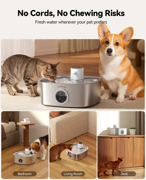 Cordless Wide Tray Dog Water Fountain With 5000mAh Battery Powered Pet Water Dispenser Three Motion Sensors Stainless Steel 8L Capacity Great For Multi Pets Easy Setup And Cleaning No Cords with pets using it indoors