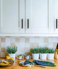 White kitchen cabinets with 10 Pack 3.75 Inch Matte Black Knurled Cabinet Pull Handles For Kitchen Cabinets Cupboards And Drawers Durable Hardware With Easy Installation And Screws Included For Modern Renovations.