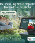 Indoor scene with a woman using an Alexa device to view bird feeder footage outdoors, showcasing smart home integration.