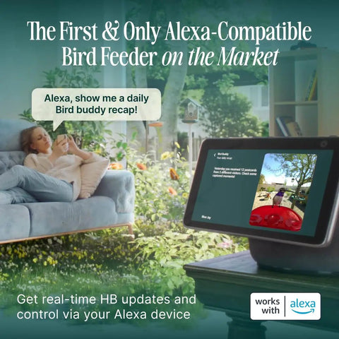 Indoor scene with a woman using an Alexa device to view bird feeder footage outdoors, showcasing smart home integration.