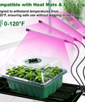 Seed Starter Tray Kit With Humidity Domes, 12 Pack 144 Cell Seedling Trays under heat mat and grow lights