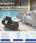 Heavy Duty 2 Hp 230V Pool Pump Motor With 56Y Frame And Square Flange, showcasing standard dimensions for easy replacement.