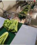Smooth Operator Compact Horizontal Flow Pack Machine Small Shrink Wrapper Rock Solid Performance 50 To 80 Wraps Per Minute with lettuce on conveyor.
