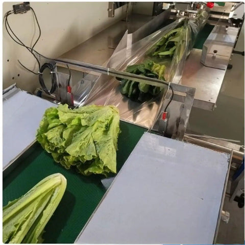 Smooth Operator Compact Horizontal Flow Pack Machine Small Shrink Wrapper Rock Solid Performance 50 To 80 Wraps Per Minute with lettuce on conveyor.