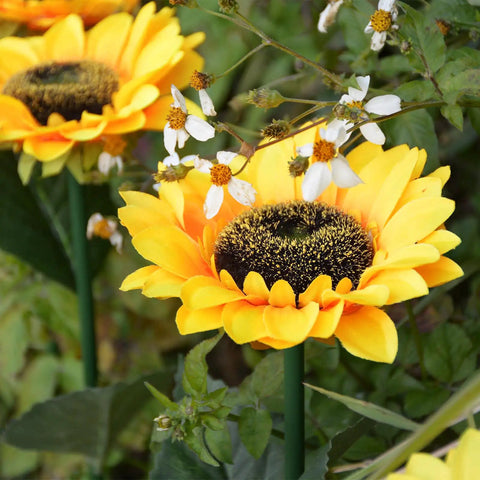 Close-up of Upgraded 4 Flower Solar Sunflowers With Fairy Light Petals For Yard Decor amidst greenery